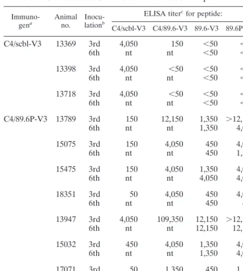 FIG. 2. Neutralizing antibody response in peptide-immunized ani-mals before and after challenge with SHIV-89.6