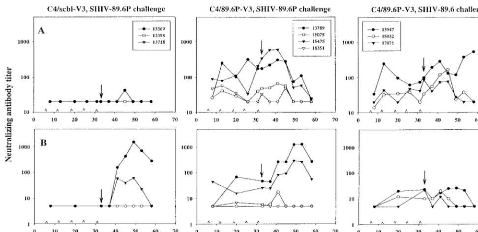 TABLE 4. Neutralization of SHIV-89.6 in MT-2 cells and humanPBMC by sera from animals immunized withthe C4/89.6-V3 peptide
