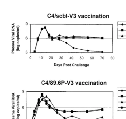 TABLE 8. Viral RNA in lymph nodes of SHIV-89.6-challengedmonkeys at time of peak viral replicationa
