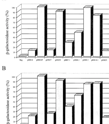 FIG. 2. Histogram representing the �BHK (A) or ND7 (B) cells per well were transfected with 1pHB9.1, pHB14.1, and pHB23