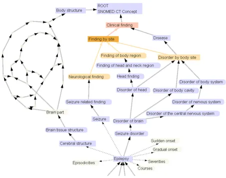 Figure 5TermVizTermViz. Visualizing a part of the SNOMED CT hierarchy in TermViz. The graph can be interactively explored and expanded.