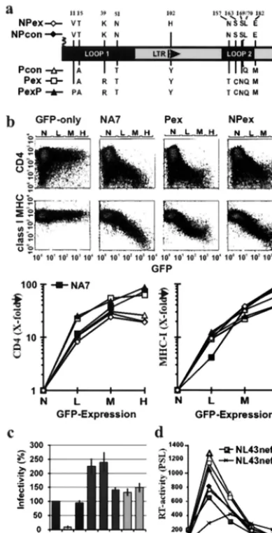 FIG. 1. Activity of nonprogressor and progressor consensus nefalleles. (a) Amino acid variations between NP and P consensus Nef