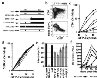 FIG. 3. nef(a) Structure of the chimeric and mutant Nef proteins that were analyzed (30)