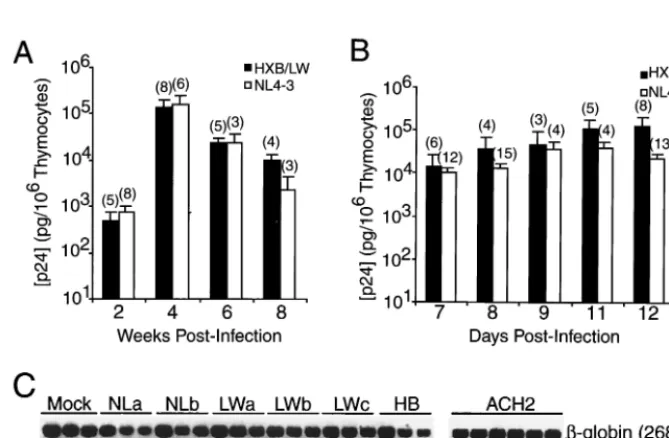 TABLE 1. Summary of HIV-1 isolates and clones