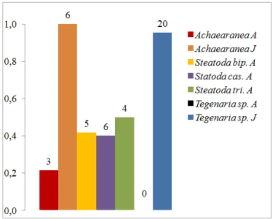 Fig. 1 Influence of prey stages and species on frequency of hunt of Pholcus phalangioides