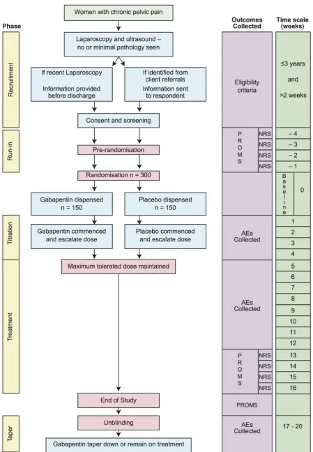 Figure 1 Study flow chart. AE, adverse event; NRS, Numerical Rating Scale; PROM, patient-reported outcome measure.