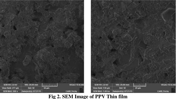 Fig 2. SEM Image of PPV Thin film 