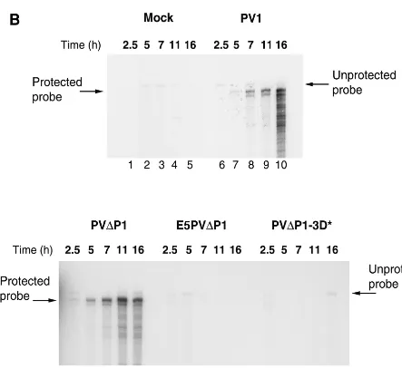 FIG. 2—Continued.