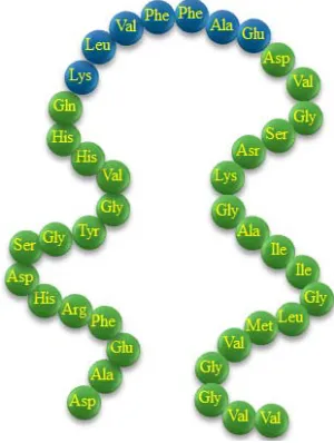 Figure 1. Beta-amyloid Aβ1-40 amino acid sequence (active fragment Aβ16-22 in blue balls)