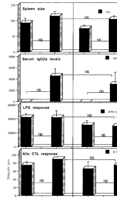 FIG. 5. B6 CD40 k.o. mice do not develop LP-BM5-inducedMAIDS after reconstitution with a cell preparation enriched for