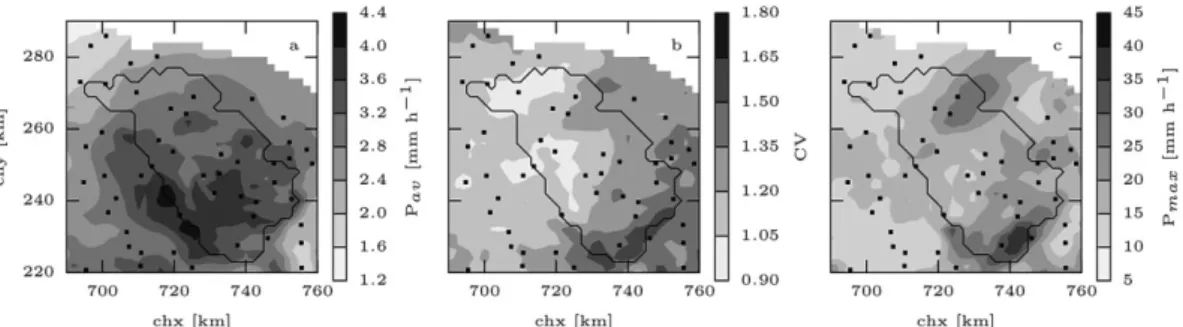 Fig. 2. Precipitation statistics for the Thur catchment over the study period. (a) Average precipitation (mm h –1 )