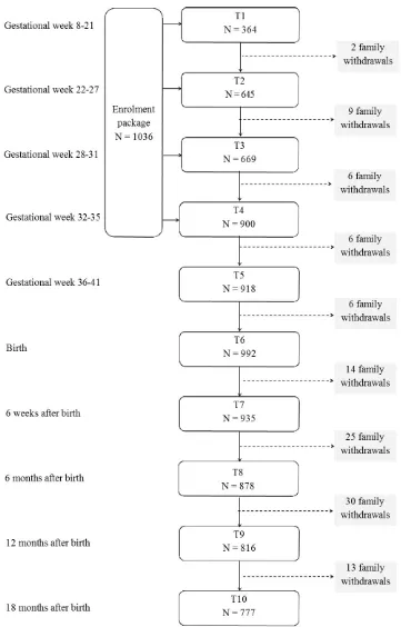 Figure 1 Recruitment, participation and attrition in the Little in Norway study. All participants received an enrolment package at entry into the study; subsequently, they took part in the data collection wave corresponding to their gestational week at ent