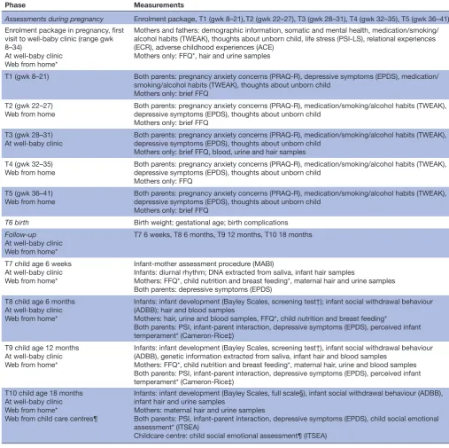 Table 3 Phases of data collection and specific measurements in the LiN study