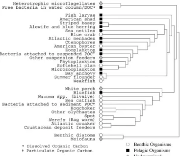 Fig. 7. Hierarchical tree for the Chesapeake Bay food web described in the text.