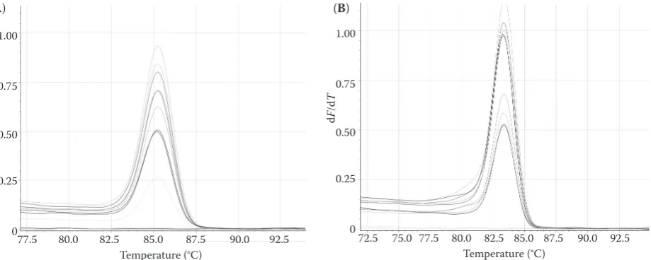 Table 1. Primer sequences of HSP17.7 and ACT genes