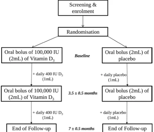 Figure 1 Study design and participant flow through the 7±0.5 month study.