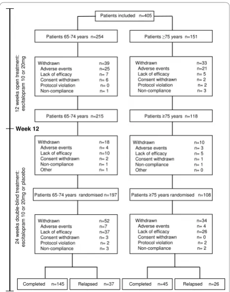 Figure 2 Patient disposition for the open label period and the
