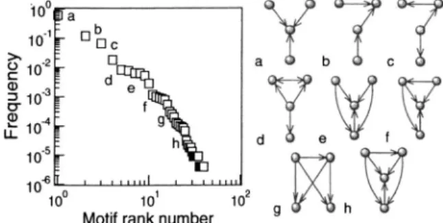 FIG. 8. Frequency-rank distribution of network subgraphs in a software network 共䊐兲. Here the most frequent subgraph has rank 1, the second has rank 2, etc