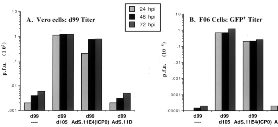 FIG. 4. Complementation of ICP0-deﬁcient virus and reactivation of quiescent HSV genomes