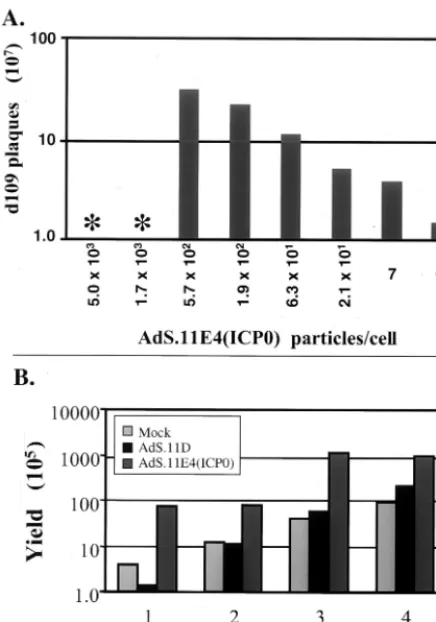 FIG. 5. AdS.11E4(ICP0) increases drus yield. (A) FO6 cells were infected with AdS.11E4(ICP0) at increas-ing particle/cell ratios as indicated