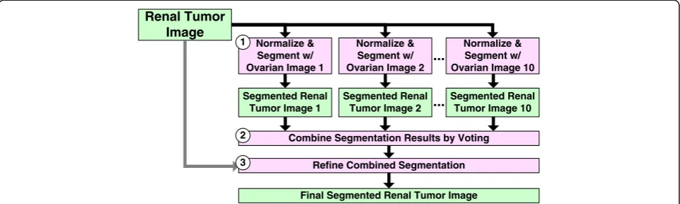 Figure 3 Renal tumor images are automatically segmented using ten reference ovarian cancer images