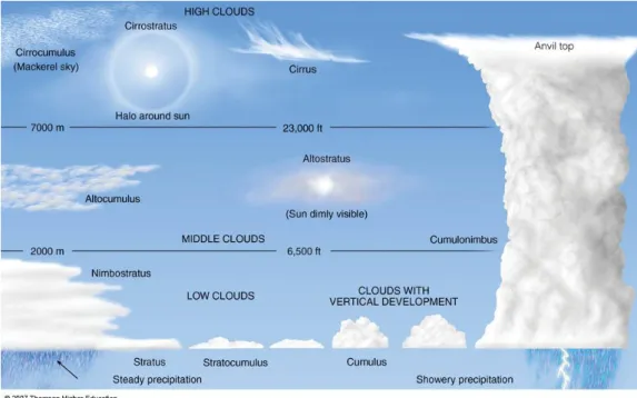 Figure 2.1: WMO official classification of the 10 main cloud genera.