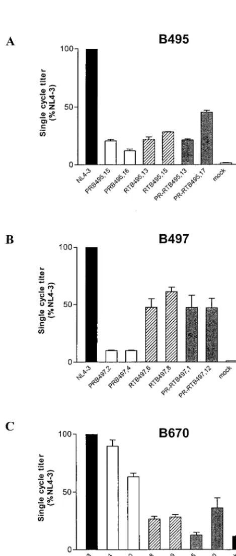 FIG. 3. Single-cycle infectivity of recombinant clones of B495,B497, and B670. The single-cycle titer of each PR (white bars)-, RT