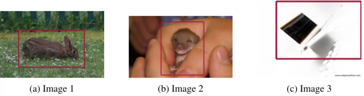 Fig. 4.1 The three images used on four CNN-based image recognition models in Sec- Sec-tion 4.1.1