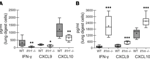 Figure 7. Type 1 responses are differentially regulated by IL-1R1 and IL-1RA during experimental fungal–associ-ated allergic airway inflammation