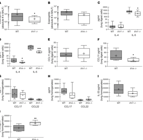 Figure 5. The absence of IL-1R1 and IL-1RA results in varied type 2 responses during experimental fungal–associated allergic airway inflammation