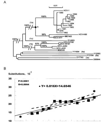 FIG. 1. Phylogenetic analysis of the 12 yearly HCV sequences from a chimpanzee chronically infected with HCV-1