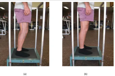 Figure 1 Standing position on vibration platform. (a) Flexed knees with marker, the standing position for the FK (flexed knee) and CON(Control) groups during the vibration or sham stimulus respectively, and (b) Locked knees, the standing position for the LK (locked kness) groupduring the vibration stimulus.