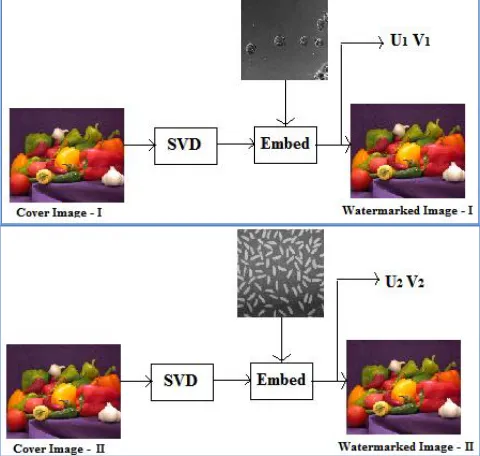 Figure 1Embedding of watermark. 