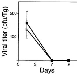 TABLE 1. Effect of gender on HSV-induced mortality in mice