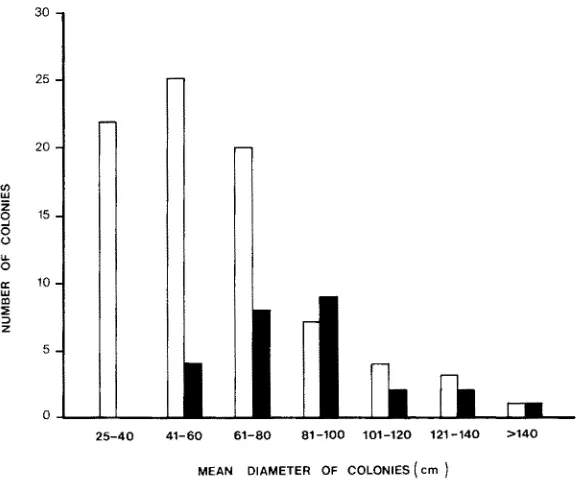 Table 1. Frequency of skeletal malformations (tumors) in massive corals {with mean diameter :>25 cm) in a 700 m 2 reef-flat area (standard deviations of coral sizes are given in parentheses) 
