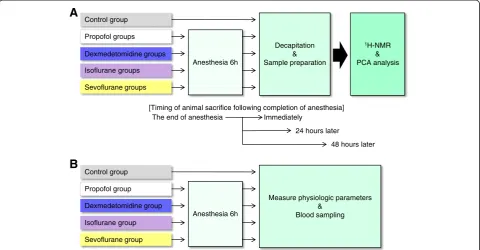Figure 1 Flow chart of the experimental protocol. (A) Experimental protocol of 1H-NMR and PC analysis