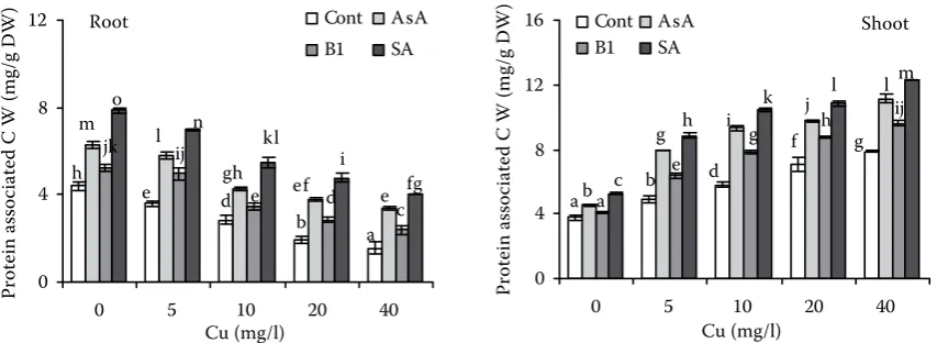 Figure 5. Effect of treatment with 100 ppm ascorbic acid (AsA), thiamine (B1) or sodium salicylate (SA) on the lignin of roots and shoots of wheat plants treated with Cu for 3 days