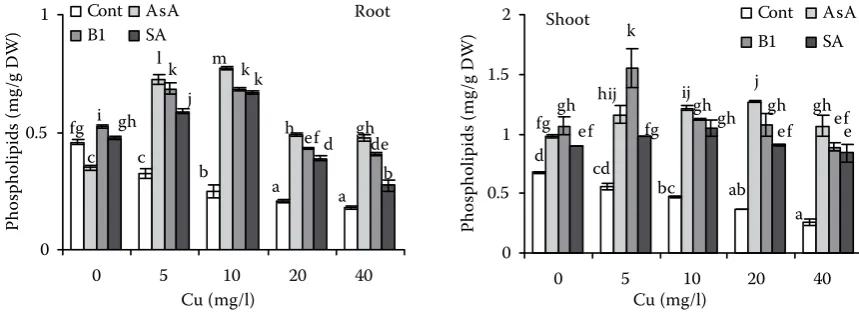 Figure 7. Effect of treatment with 100 ppm ascorbic acid (AsA), thiamine (B1) or sodium salicylate (SA) on total lipids of roots and shoots of wheat plants treated with Cu for 3 days