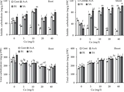 Figure 10. Effect of treatment with 100 ppm ascorbic acid (AsA), thiamine (B1) or sodium salicylate (SA) on sterols of roots and shoots of wheat plants treated with Cu for 3 days
