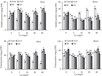 Figure 12. Effect of different concentrations of Cu on soluble and total proteins (mg/g DW) in roots and shoots of 15-day-old wheat plants treated with Cu for 3 days