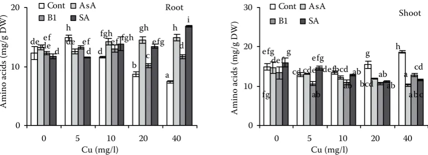 Figure 13. Effect of different concentrations of Cu on proline accumulation (mg/g DW) in roots and shoots of 15-day-old wheat plants treated with Cu for 3 days