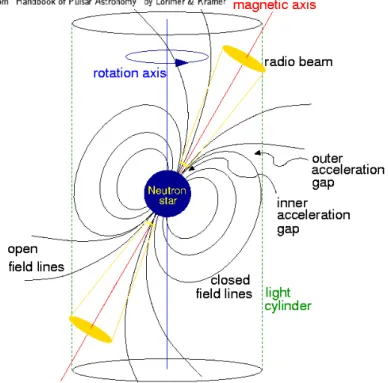 Figure 1.3: Schematic representation of a rotating NS and its surrounding magnetosphere