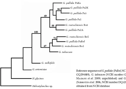 Figure 1. Comparison of the consensus sequences of five G. pallida and three G. rostochiensis populations