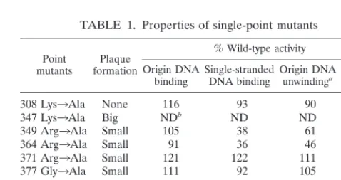 FIG. 1. Single-stranded DNA binding assay of wild-type (WT) andmutant T antigens. Ten picomoles (corresponding to 800 ng of wild-