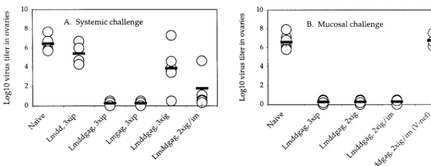 FIG. 6. Immunization with strain Lmdaldat-gagHIV-1challenge. Mice immunized by various routes were challenged 21 days later (i.p
