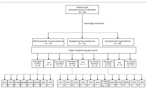 Figure 1 Flowchart of patients’ enrollment and results of genetic testing