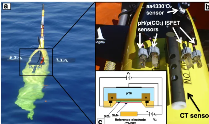 Figure 2. (a) Seaglider SN 537 during the deployment: (b) a close-up of the sensors and (c) a schematic diagram of the ISFET sensor adaptedfrom Shitashima (2010).