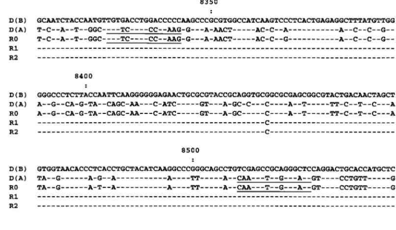 FIG. 1. Nucleotide sequence alignment of the NS5 fragments of HCV recovered from two blood donors (D) and recipient follow-up sera
