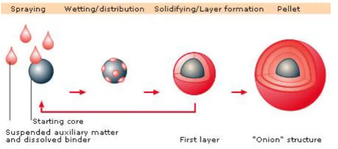 Fig:1.4 Scheme of stages involved in pelletization by suspension or solution 