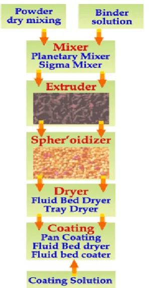 Fig:1.6 Scheme of pelletization stages in Extrusion and Spheronization. 